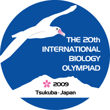 Logo der 20. IBO